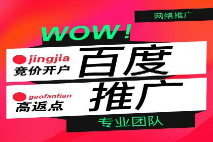 某电商平台充值返点活动用户行为分析